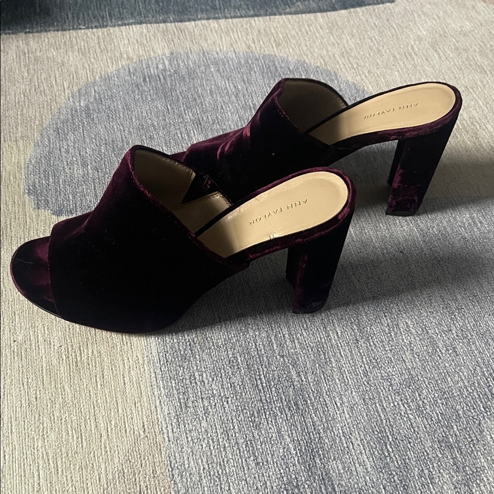 Ann Taylor Women's Velvet Mules - Deep Purple